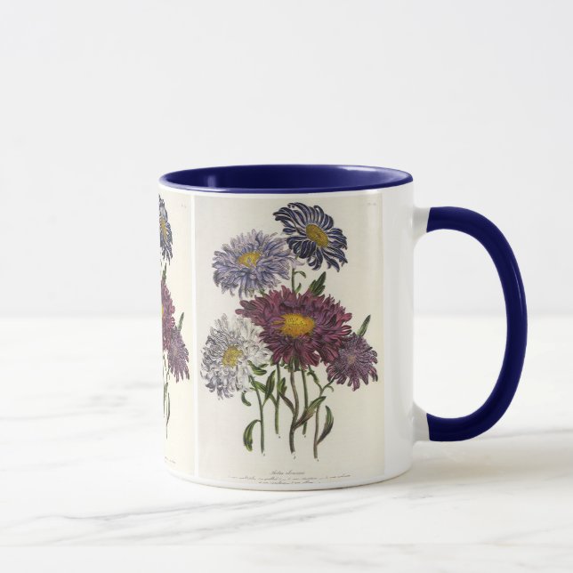 Caneca Flores de Áster Roxo Antigas e Florais (Direita)