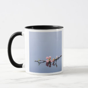 Caneca Flores de cerejeira na água