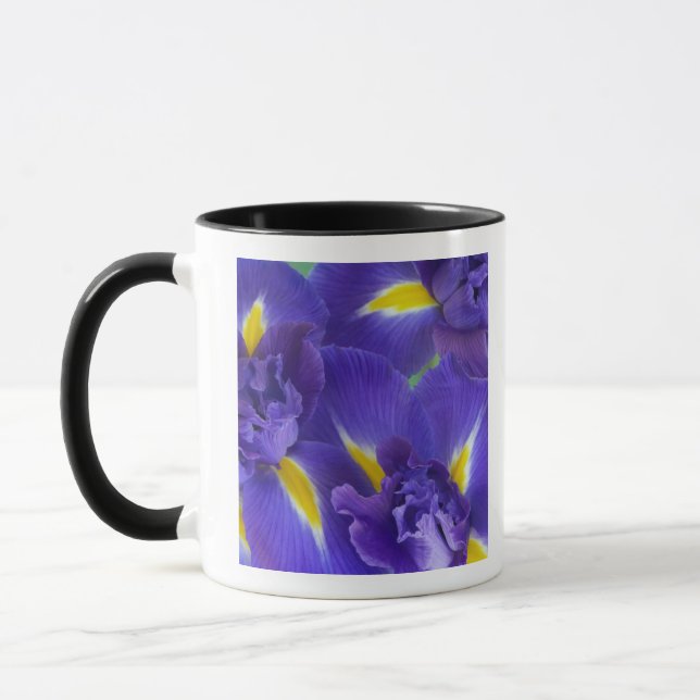 Caneca Flores de íris (Esquerda)