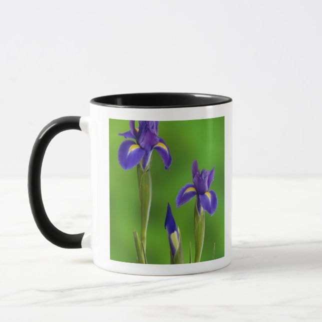 Caneca Flores de Íris (Esquerda)