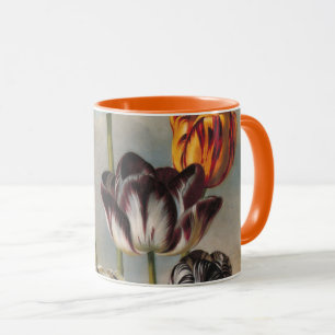 Caneca Flores de Tulipa Variegada Antiga em uma Paisagem