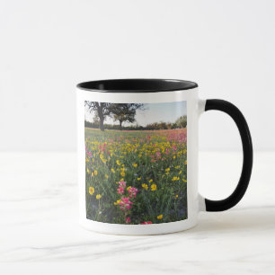 Caneca Flores selvagens na estrada no Texas, primavera