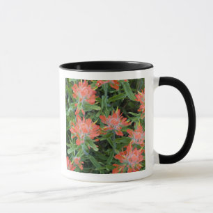 Caneca Flores silvestres de pincel indianas