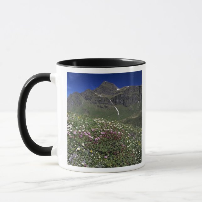 Caneca Flores silvestres, florescendo, Alpes, Suíça (Esquerda)