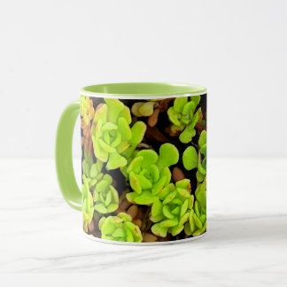Caneca Flores Verdes Suculentas