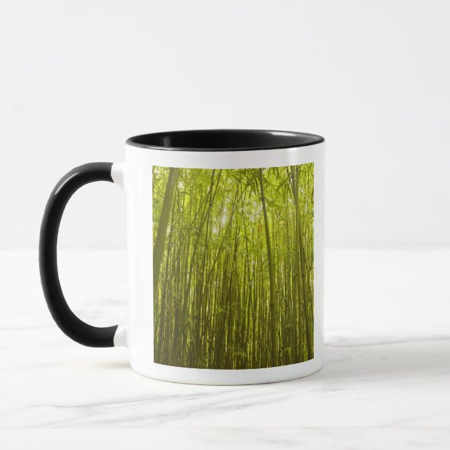 Caneca Floresta de Bambu perto da Trilha Waikamoi Ridge,  (Esquerda)