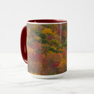 Caneca Floresta de madeira de lei no Condado de Randolph,