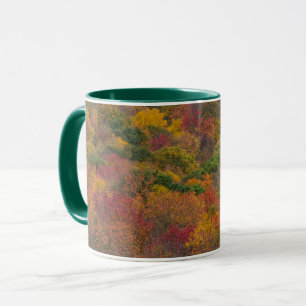 Caneca Floresta de madeira de lei no Condado de Randolph,