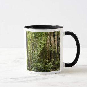 Caneca Floresta de nuvens, Bosque de Paz, Costa Rica