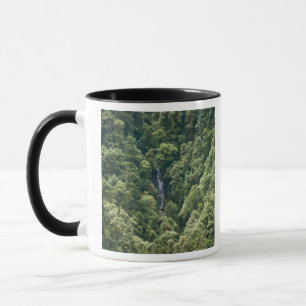 Caneca Floresta do Himalaia no vale de Mangdue, Butão