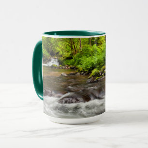 Caneca Floresta Nacional Siuslaw, Sweet Creek, Oregon