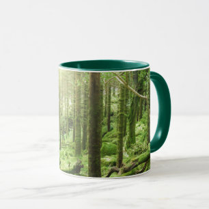Caneca Floresta no Kerry do parque nacional   de