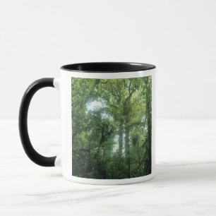 Caneca Floresta Nubosa de Monteverde, Costa Rica.