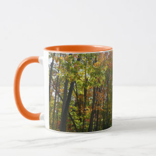 Caneca Floresta Outonal Ensolarada Paisagem de Outono