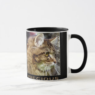 Caneca Fluffy TABBY KITTEN Gift Mugs