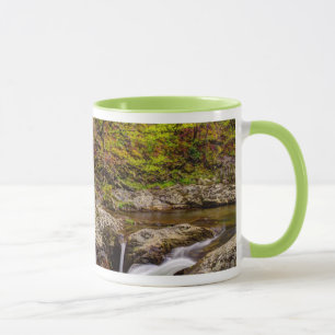 Caneca Fluxo Florestal Em Montanhas De Enfumaçado Excelen