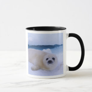 Caneca Foca-da-Groenlândia América do Norte, Canadá, Queb