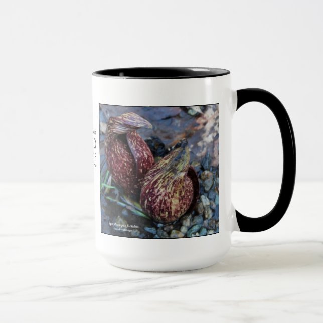 Caneca Foetidus do Symplocarpus, jaritataca-couve (Direita)