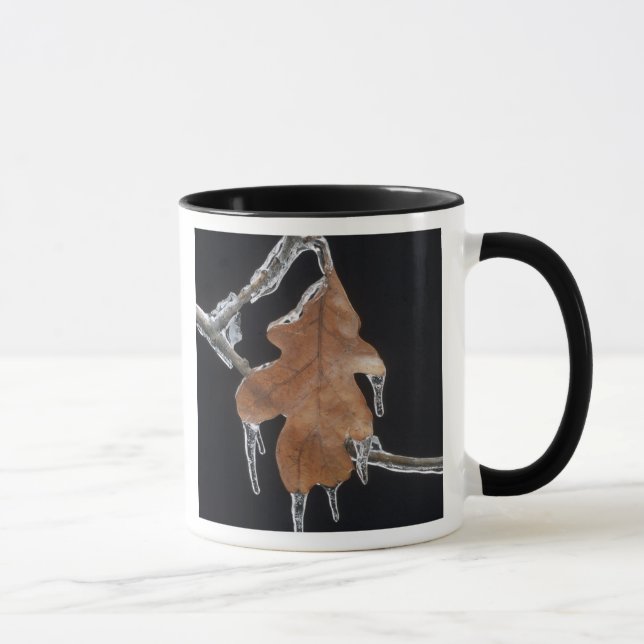 Caneca Folha de Carvalho com Pingentes de Gelo Após Tempe (Direita)