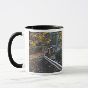 Caneca Folhagem de outono e ponte sobre os Millers