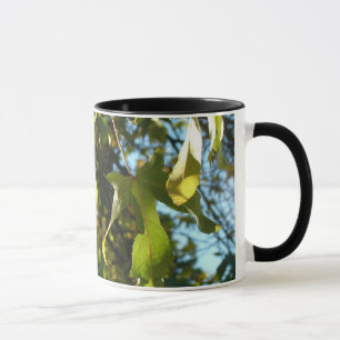 Caneca Folhas de bordo,queda,outono