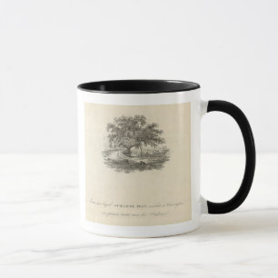 Caneca Forma em que William Penn
