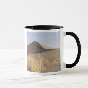 Caneca Formações de dunas de areia. Bruneau Dunes State P