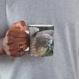 Caneca Foto do Raptor Hawk de cauda vermelha