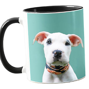 Caneca Foto do seu cachorro cor personalizada presente fo