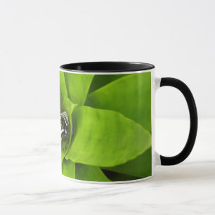 Caneca Fotografia Botânica Verde Bromélia