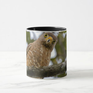 Caneca Fotografia de Belizean Roadside Hawk