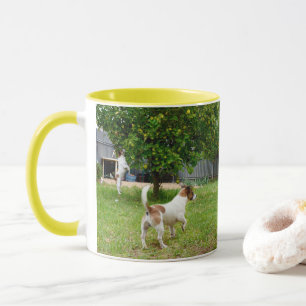 Caneca Fox Terrier Pulando Em Uma Árvore,