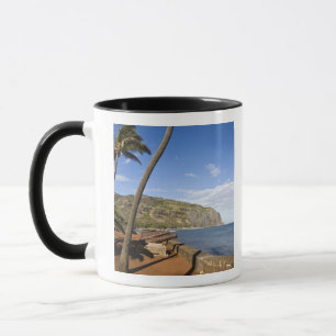 Caneca França, Ilha Reunião, St-Denis, vista de La