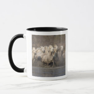 Caneca França, Provença. Cavalos brancos Camargue em corr