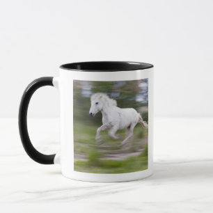 Caneca France, Bouches du Rhone, parque regional natural