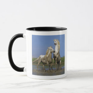 Caneca France, Bouches du Rhone, parque regional natural