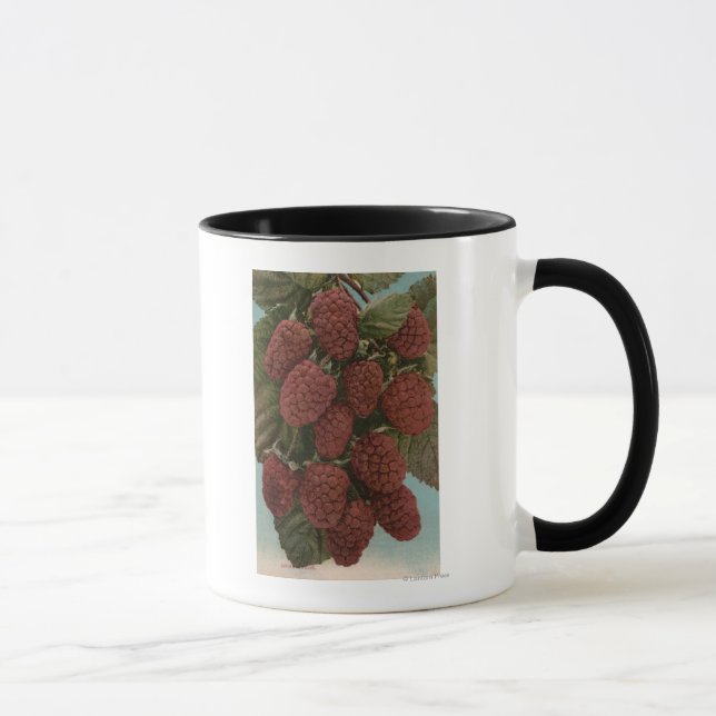 Caneca Fruta Cromo Lithógrafo de AirelasEstado (Direita)