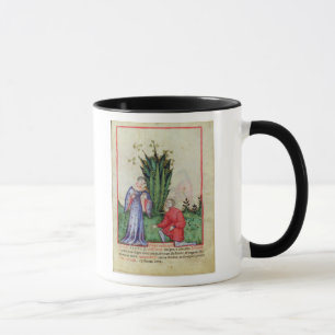 Caneca Fruta de Mandrake, from Tacuinum Sanitatis