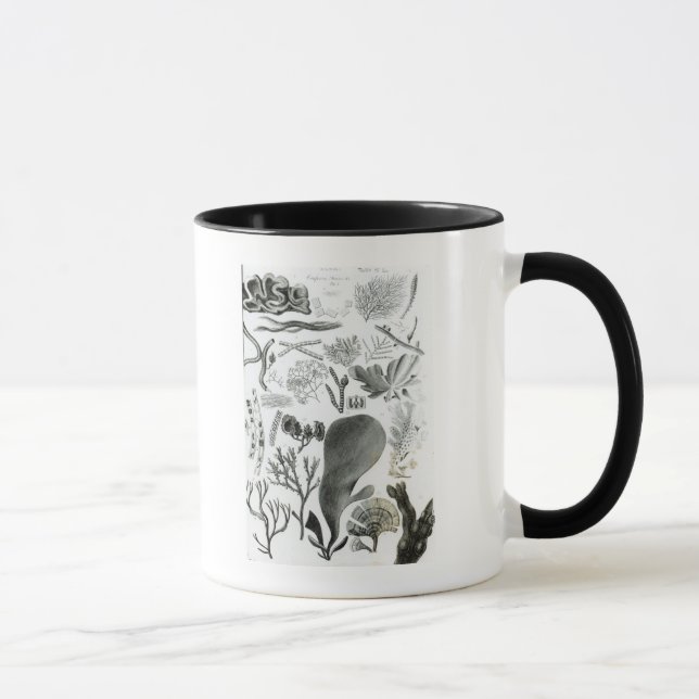 Caneca Fuco de Conferra (Direita)