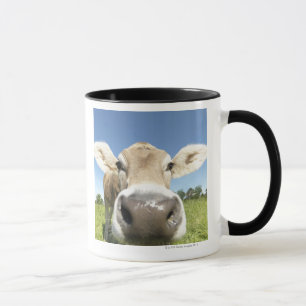 Caneca Fuessen, Baviera, Alemanha