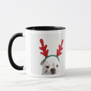 Caneca fundo branco, buldogue masculino branco, vermelho