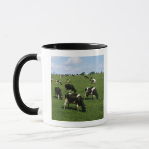 Caneca Gado do Holstein-Frisão, Ireland