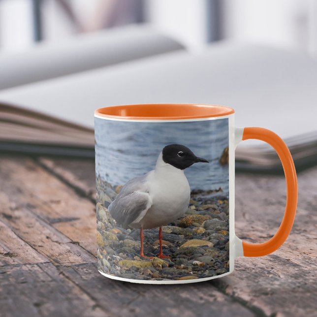 Caneca Gaivota de Bonaparte na praia (Bonapartes Gull at Beach 11 oz Coffee Mug Cover Photo)