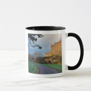 Caneca Gales - Um castelo galês particular perto de St.