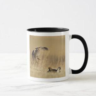 Caneca Galináceos machos da pradaria em lek no condado de
