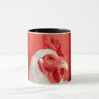 Galinha fazenda