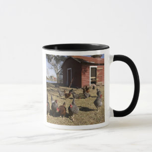 Caneca Galinhas trabalhando perto do galinheiro Cliburn