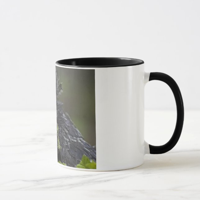 Caneca Galo polonês de prata (Direita)