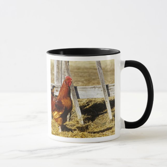 Caneca Galo Vermelho de Rhode Island (Direita)