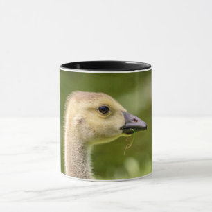 Caneca Ganso Canadense (Gosling)